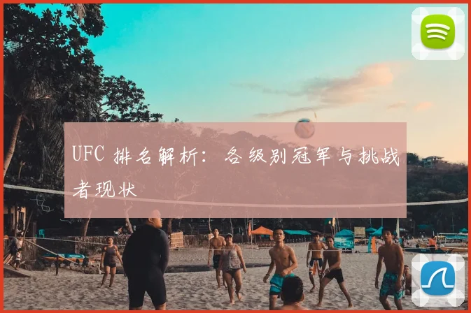 UFC 排名解析：各级别冠军与挑战者现状