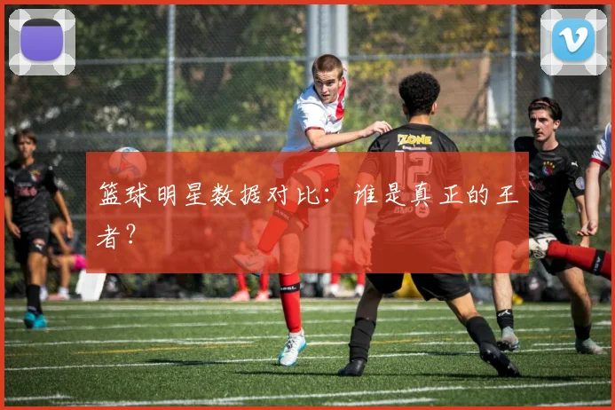 篮球明星数据对比:谁是真正的王者?