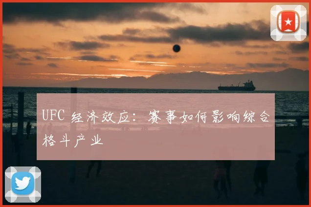 UFC 经济效应：赛事如何影响综合格斗产业