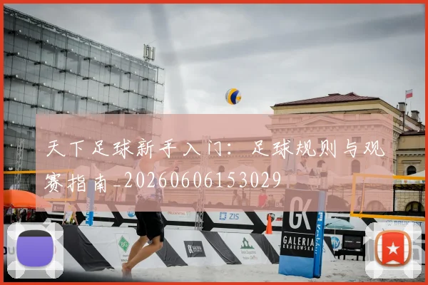 天下足球新手入门：足球规则与观赛指南_20260606153029