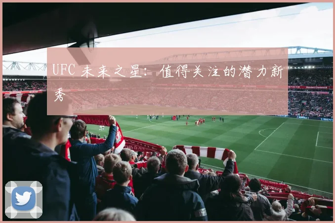 UFC 未来之星：值得关注的潜力新秀